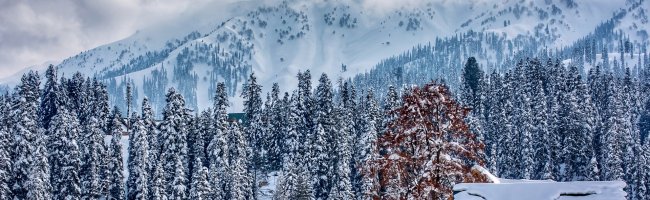 Kashmir Image 1