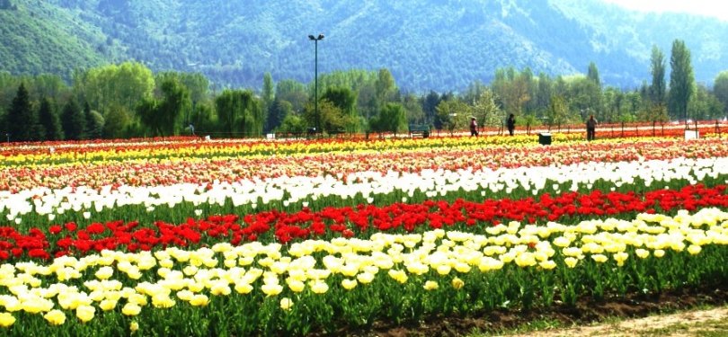 Kashmir Image 2