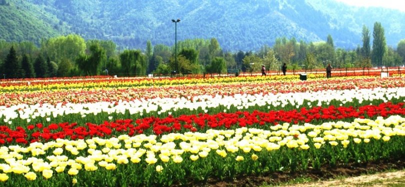 Kashmir Image 2