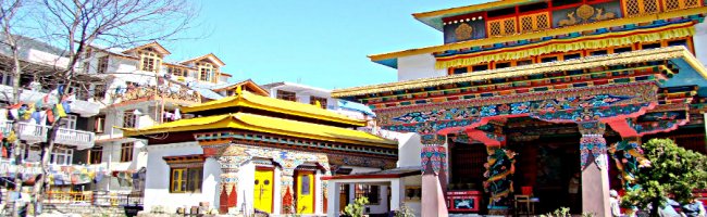 Himalayan Nyingmapa Gompa Manali