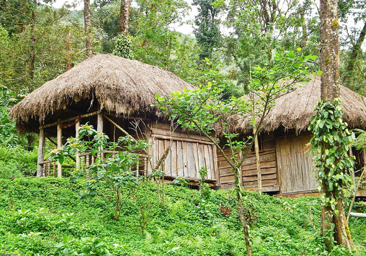 Coorg Coorg