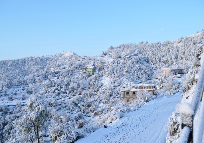 Shoghi Shoghi