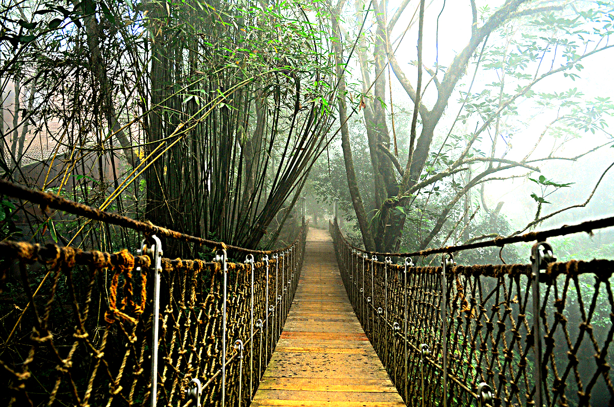 Vythiri Resort Wayanad Hanging Bridge of Vythiri Resort Wayanad