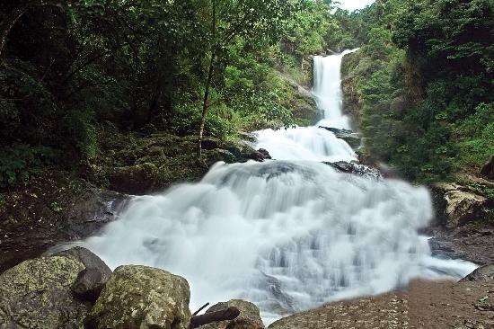 Iruppu Falls Iruppu Falls