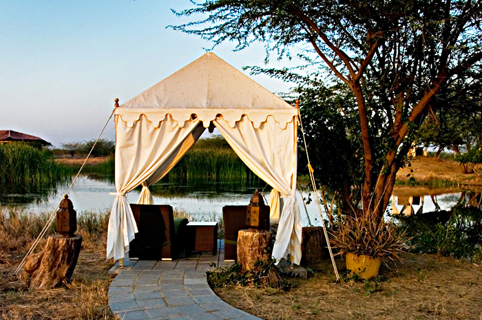 Blackbuck Lodge Bhavnag Blackbuck Lodge Bhavnagar