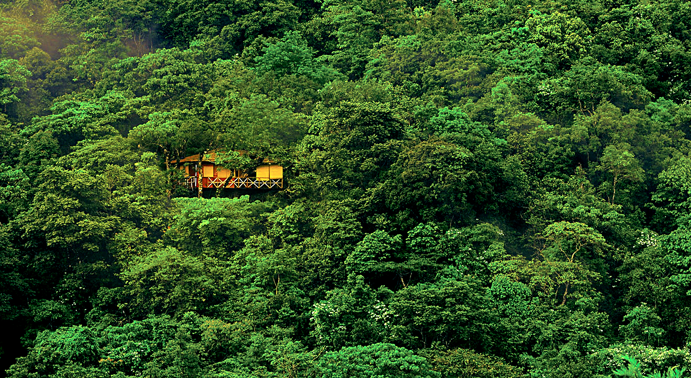 Vythiri Resort Wayand Vythiri Resort Wayand